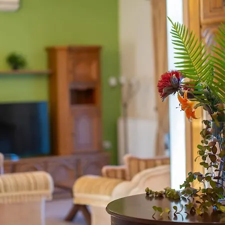 Paul's American Mansion- Suburb Villa Golos